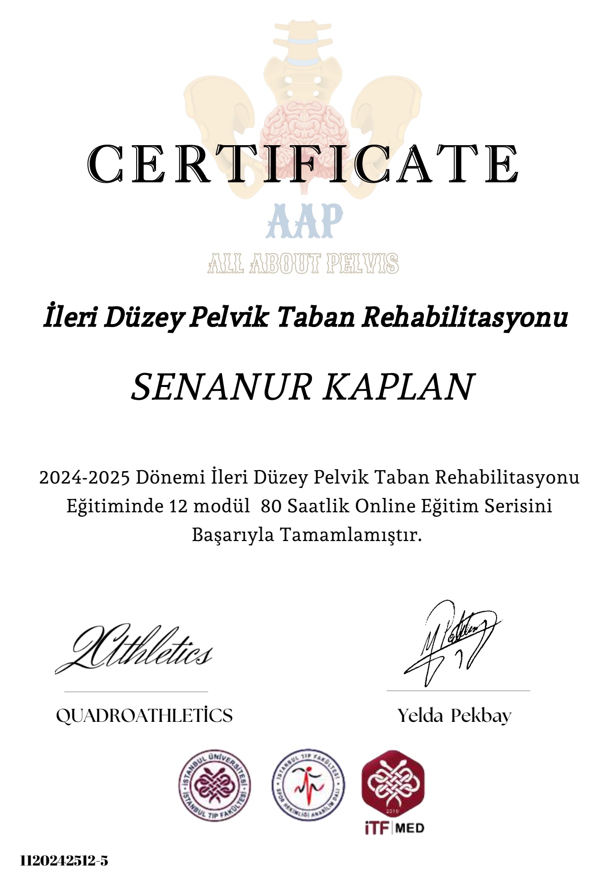 İleri Düzey Pelvik Taban Rehabilitasyonu sertifikası