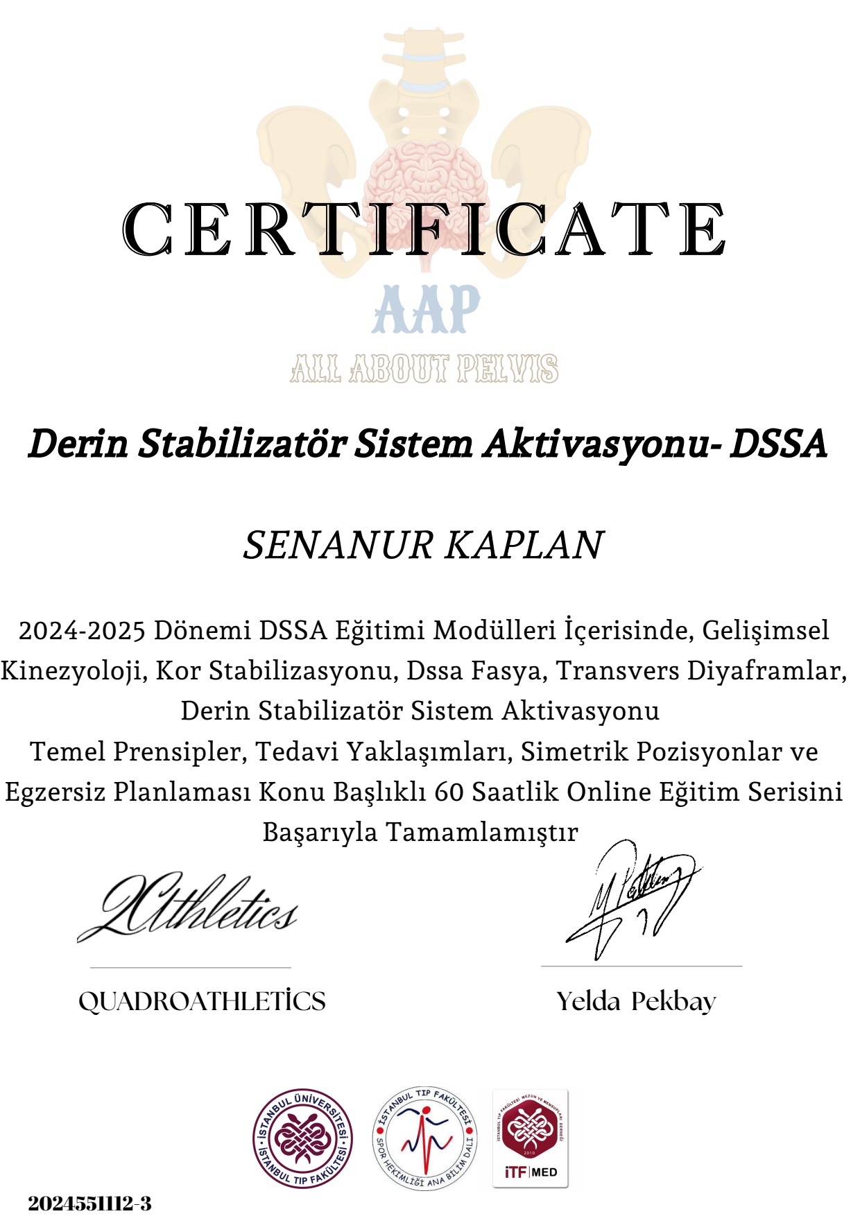 DSSA – Derin Stabilizatör Sistem Aktivasyonu sertifikası